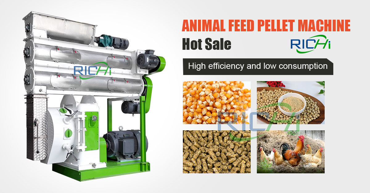 Poultry Feed Ring Die Compress Poultry Mash Feed Mill Machinery
