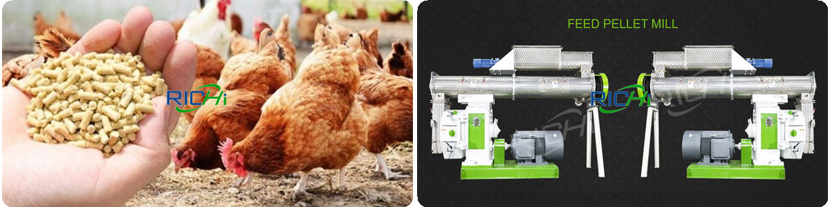 state of the art automated poultry feed making machine