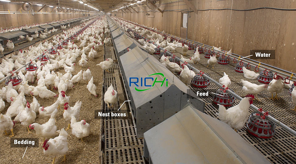 poultry feed mill equipment