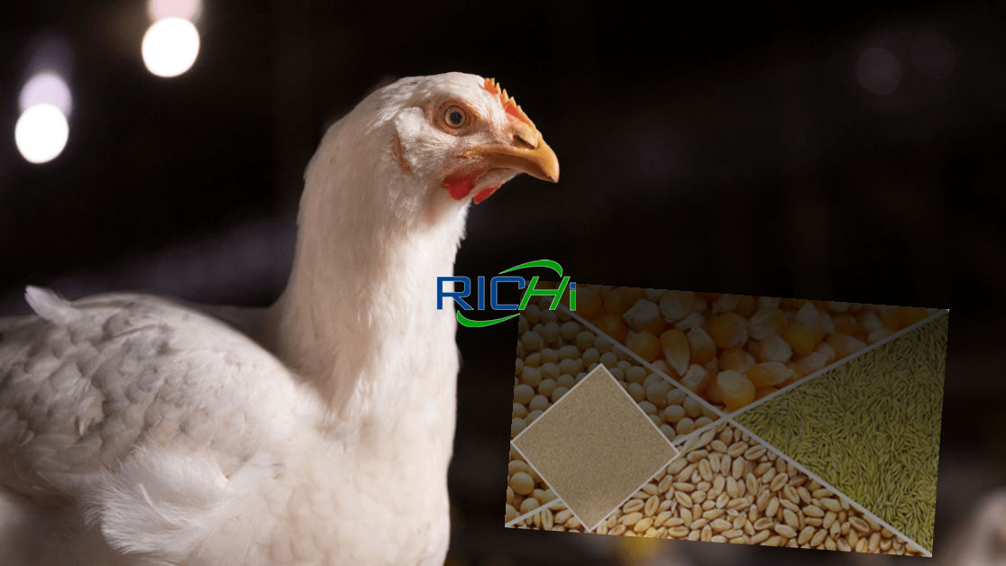 poultry feed production by poultry feed plant