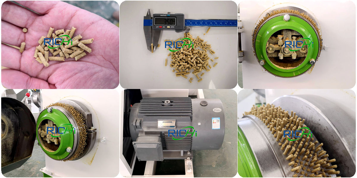 high efficiency automatic pet bird fish shrimp feed pellet making machine small electric animal poultry food granulator extruder