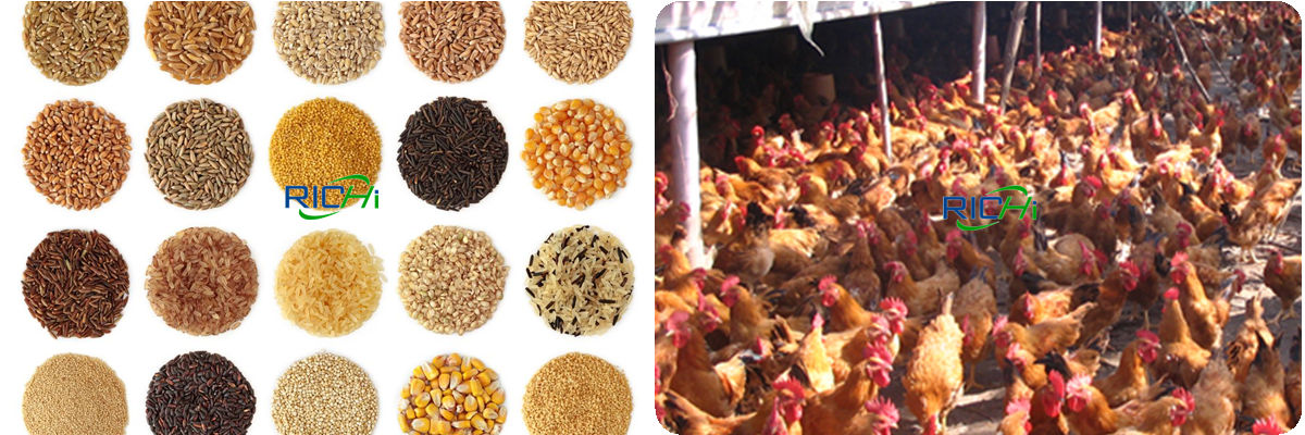 price of mechine mixer vertical of animal feed from china