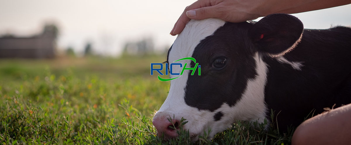 top 10 animal nutrition companies in the world