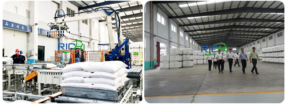 setting up an animal feed manufacturing company