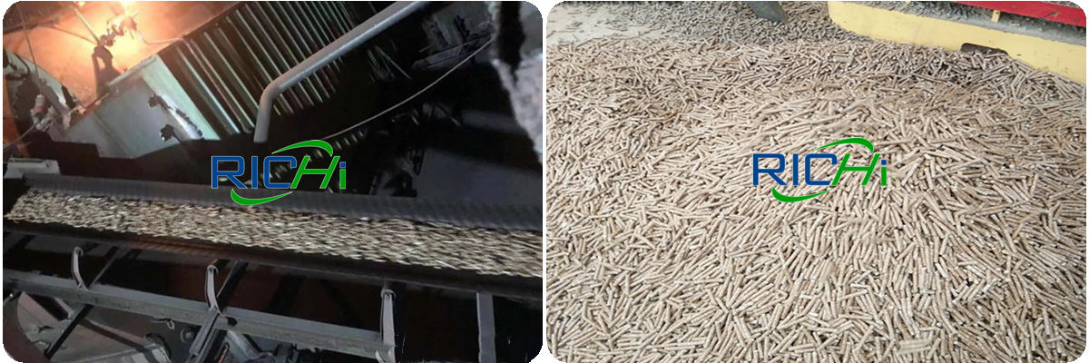 biomass wood pellet manufacturing machine biomass pellet press biomass making machine biomass pellet machine price pelletizing machine for biomass pelletizer biomass machine