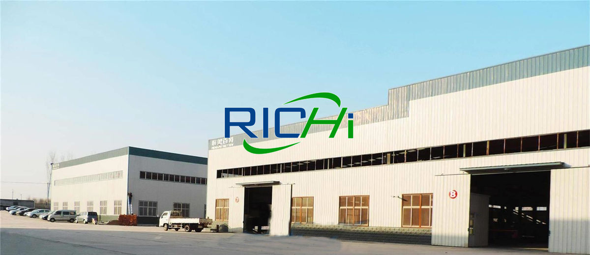 12-13 Tons Per Hour Industrial Biomass Straw Wood Pellet Factory Project