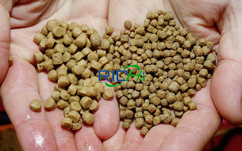 fish feed making machine fish food pellet maker malaysia production of local feed for fish