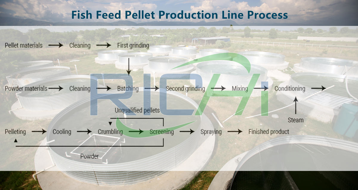 Production process of sinking fish feed pellet machine for sinking fish feed factory line