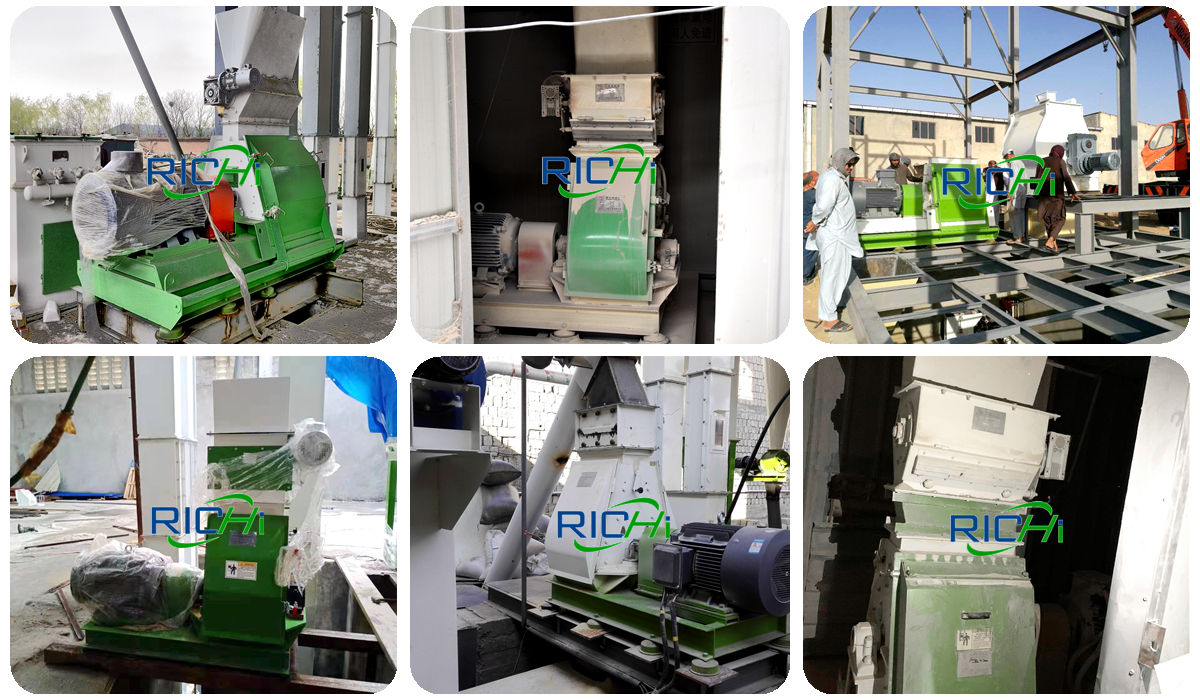 chicken feed grinding machine hammer mill mash sizes for poultry feed