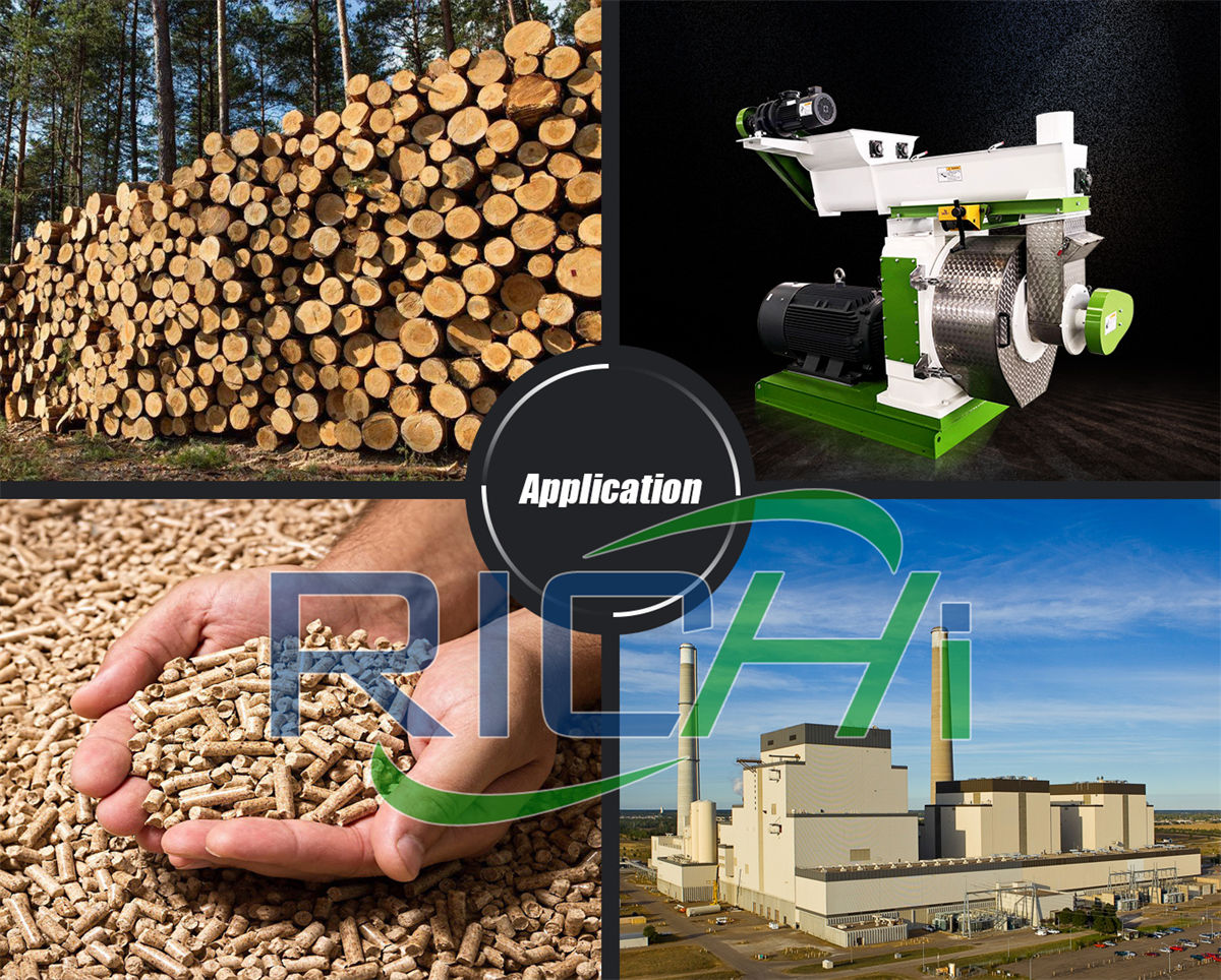 complete biomass pelletization line Building Biomass Wood Pellet Making Line