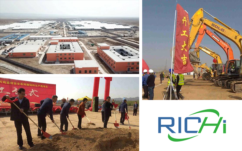 New Progress Of RICHI's Two Animal Feed Processing Factory Projects