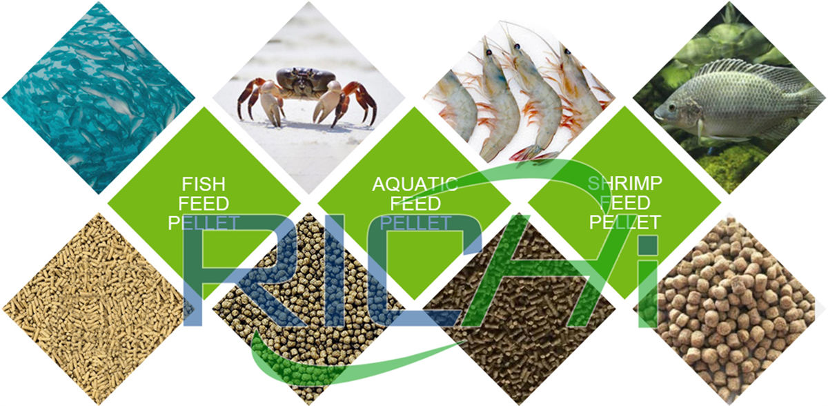 rajkumar floating fish pellet machine floating fish feed machine design
