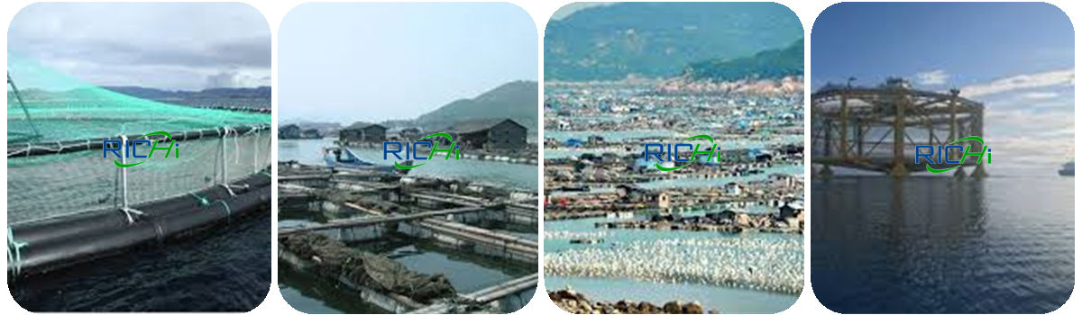 how to produce floating fish feed price of sma floating fish food machine in sri lanka