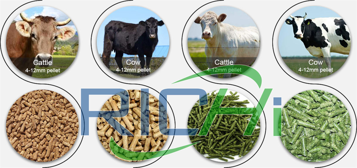 Cattle Feed Pellet Production Line