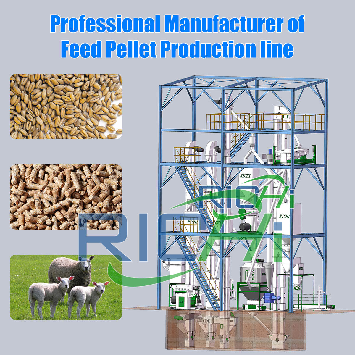 cattle feed making process
