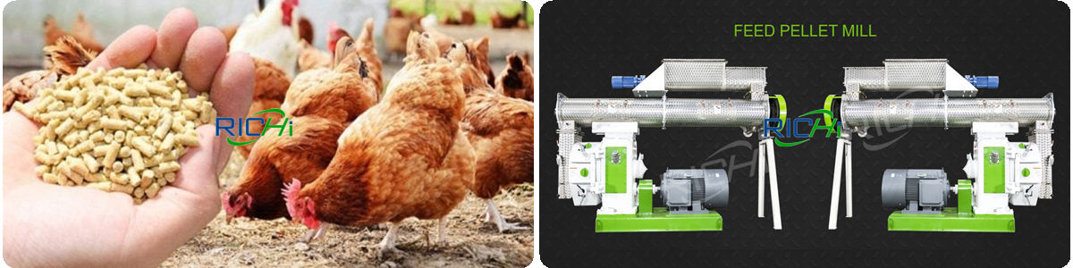international poultry feed expirydate poultry feed mixing machine price poultry feed hammer mill