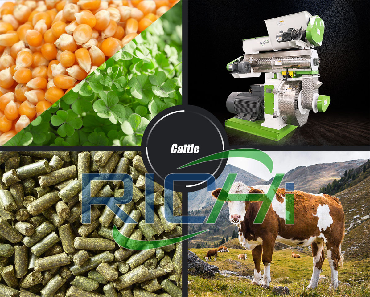 how long does cattle feed production take cattle feed lot machinery perth china best machines for chicken and cattles feed