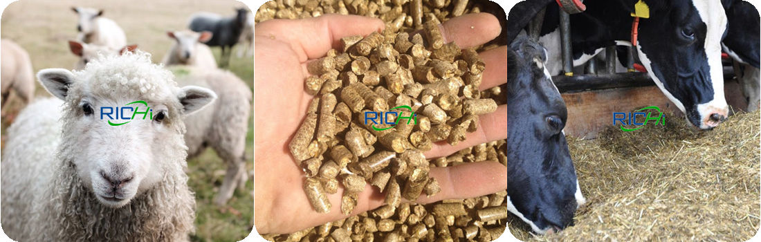 cattle feeds plant what equipment does a cattle feed mill have cattle feed pellet mill for sale