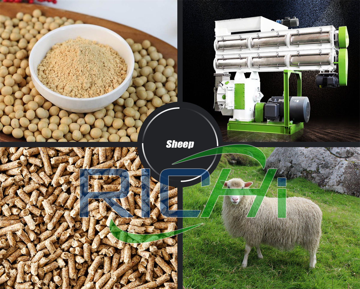 poultry and cattle feed plant indiamart cattle feed machine