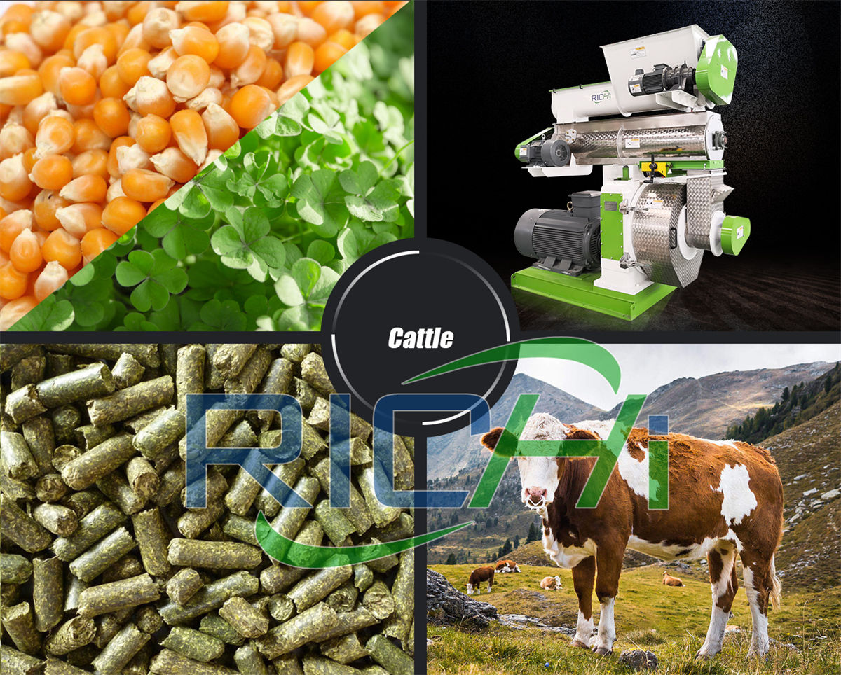 machinery use for the cattle feed plant how much is a production line for cattle feed