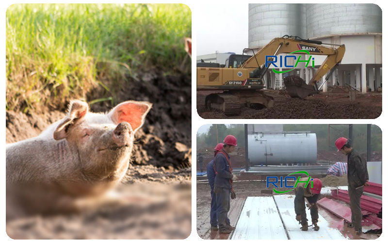 The Piggery Feed Mill For Biscuit Feed With An Annual Output Of 200,000 Tons Is Expected To Be Put Into Operation After The Spring Festival