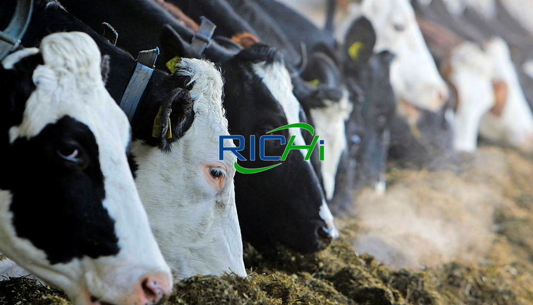 ruminant cow feed mills europe number of ruminant animal feed plant species pdf establishing bone blood and rumen left over meals for ruminant animals feed manufacturing plant in ethiopia free pdf