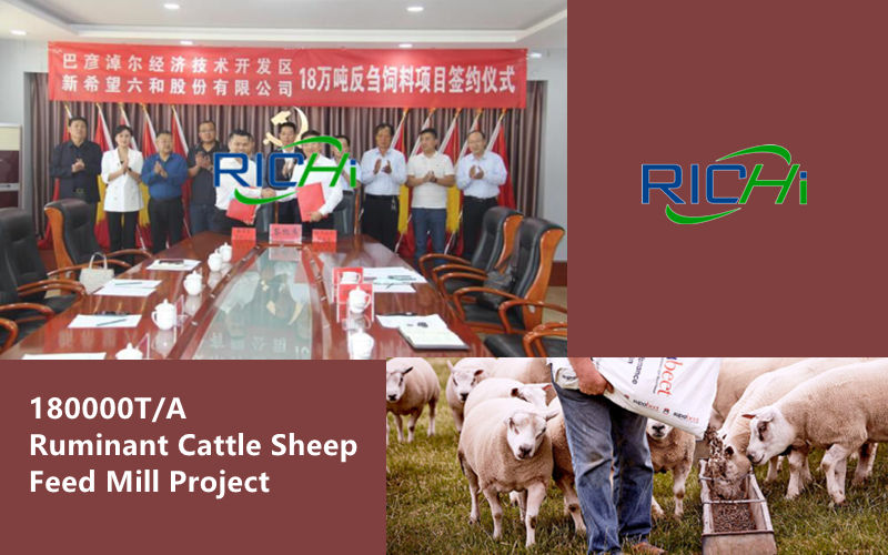 The 180,000 Tons/Year Ruminant Sheep Dairy Cow Beef Cattle Feed Mill Factory Project Undertaken By RICHI Was Officially Signed