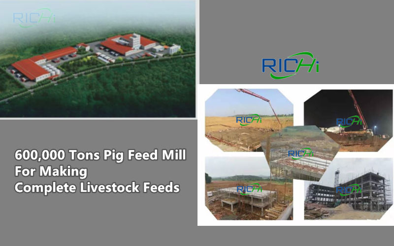 The Construction Of Xinyu 600,000 Tons Pig Stock Feed Mill Project For Making Complete Livestock Feeds Undertaken By RICHI Is In Progress
