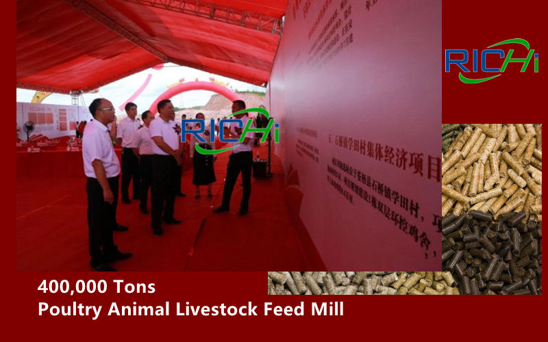 The Annual Output Of 400,000 Tons Of Poultry Animal Livestock Feed Mill Factory Project Undertaken By RICHI Officially Started