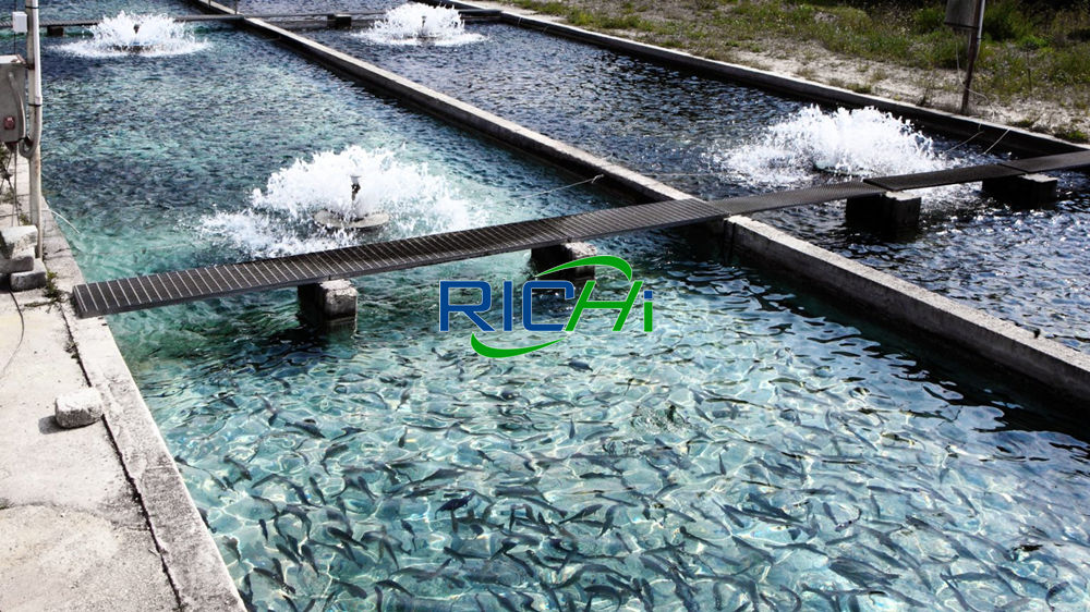 nireus aquaculture fish feed production texicon aqua feeds plant aqua feed plant layout