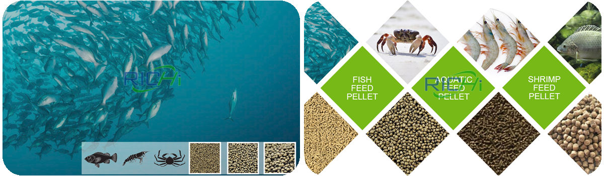 fish feed is the first major step in aquaculture production chain in europe the production of fish feed is mainly targeted at hi designing manufacturing and commissioning of machinery for production lines of livestock feed poultry aquatic supplement concent