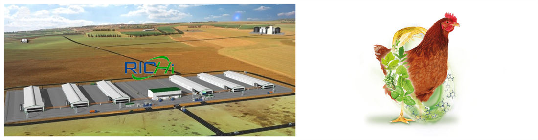 chicken food productio machines chicken production machine in srilanka pellet chicken machine
