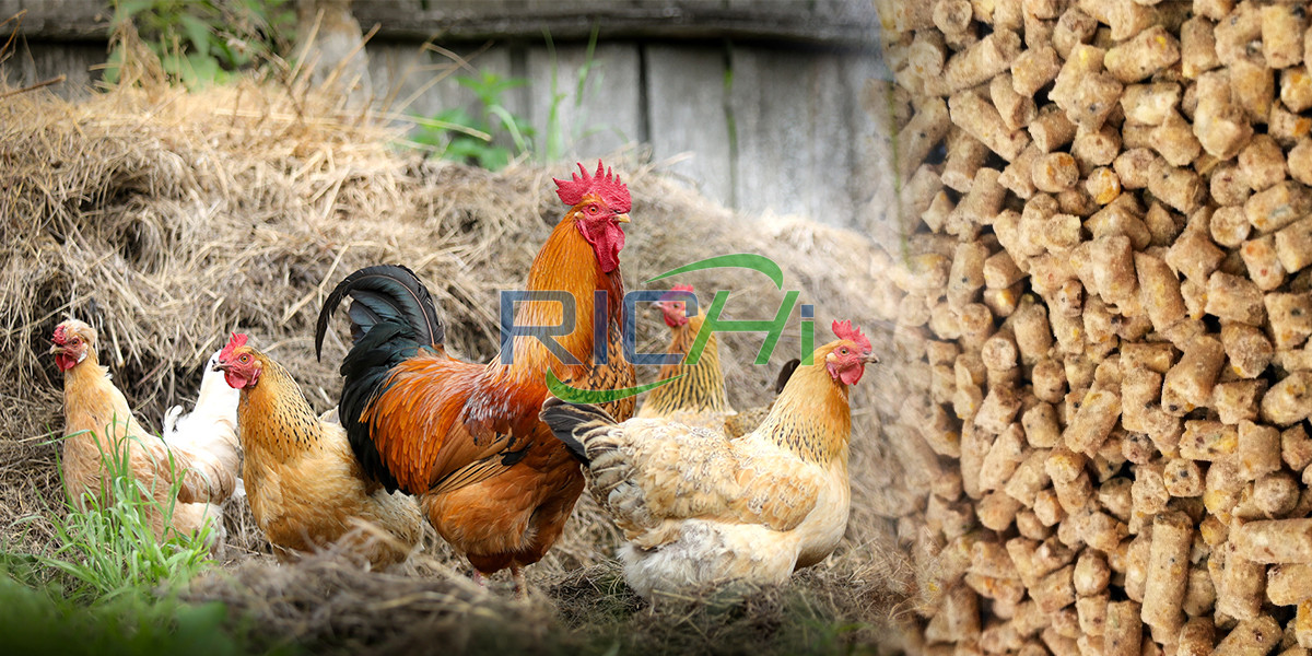 chickeng farming machine chicken fed machines prices hw much is chicken feed mill machine in nigeria