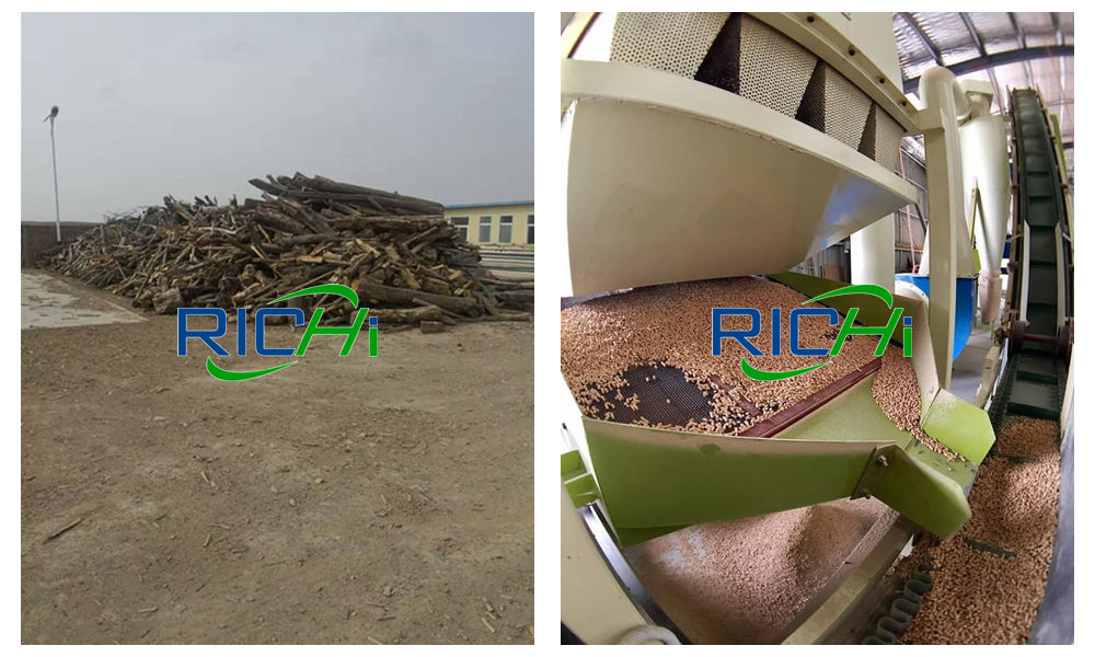 small sawdust pellet machine price in sri lanka machine gahering sawdust horse making pellets from sawdust sawdust dryer for sale