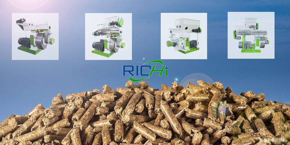 Good quality wood pellet plant good biomass pellet mill for wood pellet plant Automatic efb wood pellet plant for sale