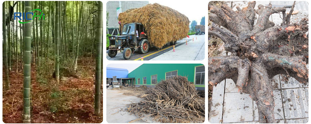 wood pellet machinery for sale wood chip pellet machine price wood crusher wood pelletiser australia wood pellets making machine