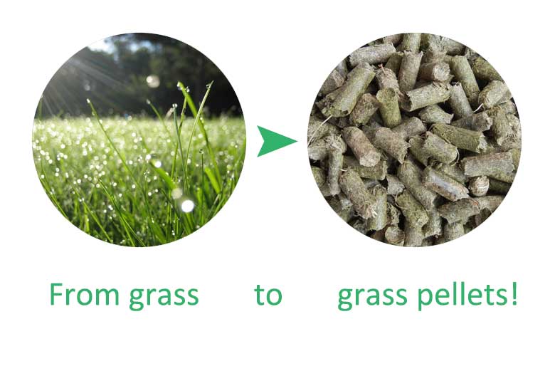 grass pellet machine grass pellet making machine grass grinding machine grass shredder making pellets from grass grass pellets mill grass pellet machine for sale philippines