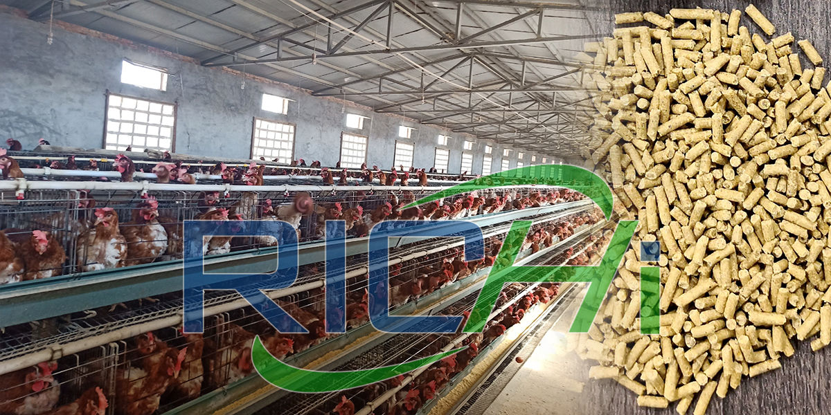 Price of setting up a poultry feed plant