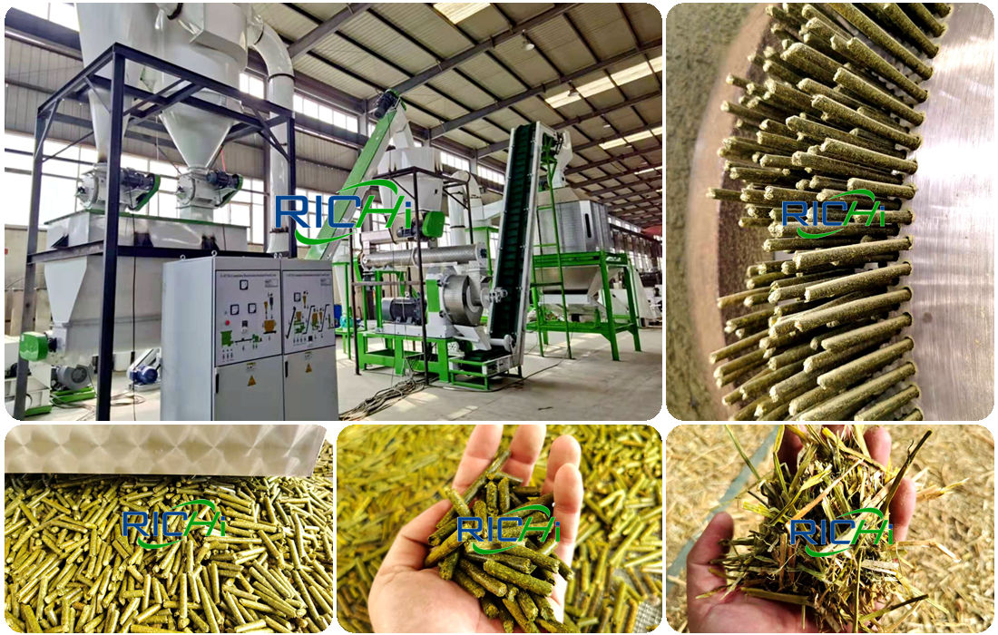 alfalfa  shavings pellet mill alfalfa  sawdust pellet mill machine