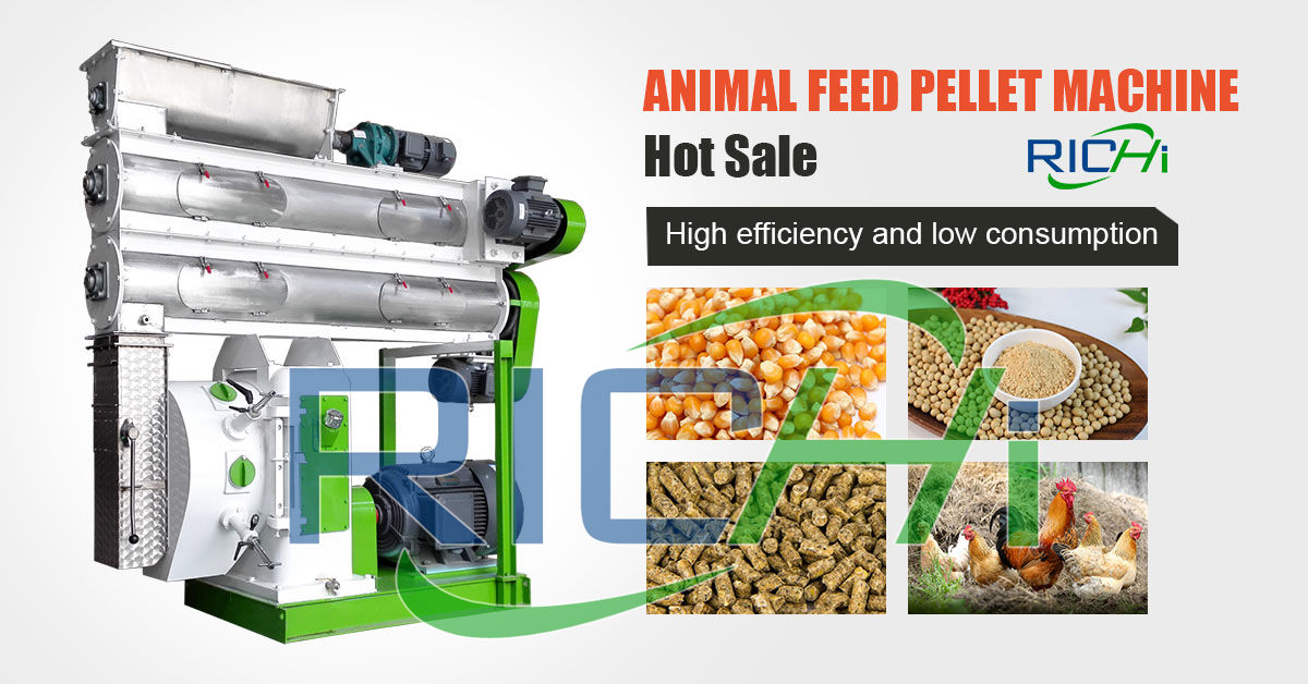 Chicken Feed Pellet Mill Plant