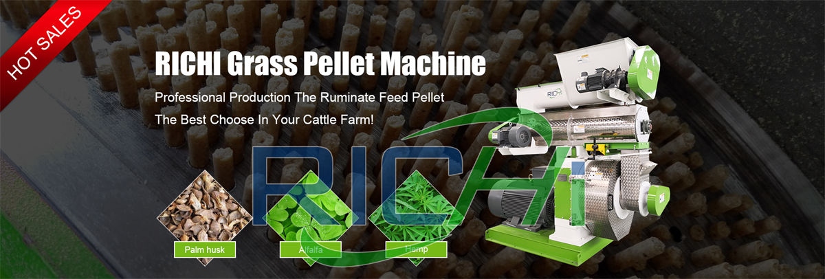 Introduction of Giant King Grass Pellet Production Line