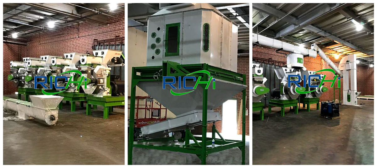 Small Wood Sawdust Pellet Making Machine Arrived in Holland