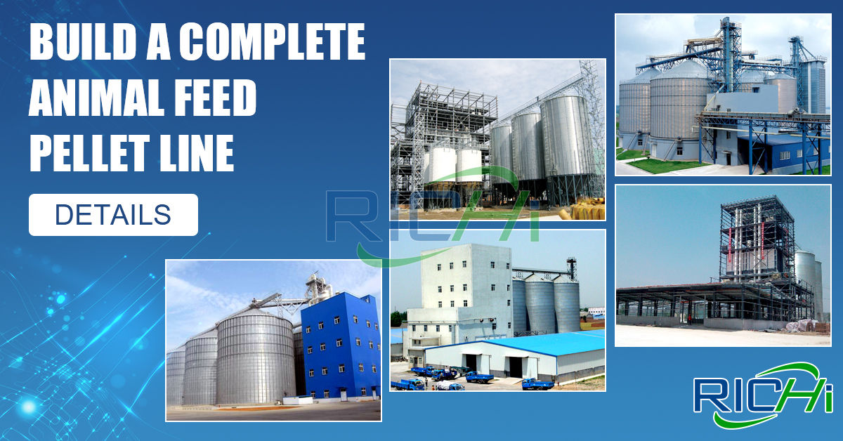 RICHI cattle feed plant for quality cattle cow feed production in South Africa