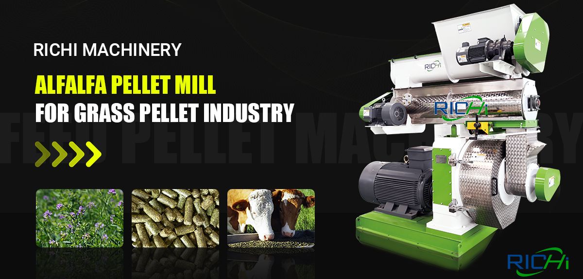 Why Choose RICHI Cattle Feed Pellet Machine South Africa