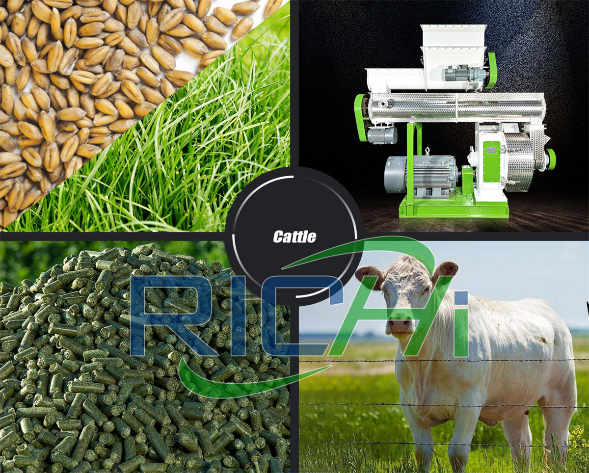 How To Use Grass Pellet Mill To Make Grass Pellets For Poultry Cattle Sheep And Pig