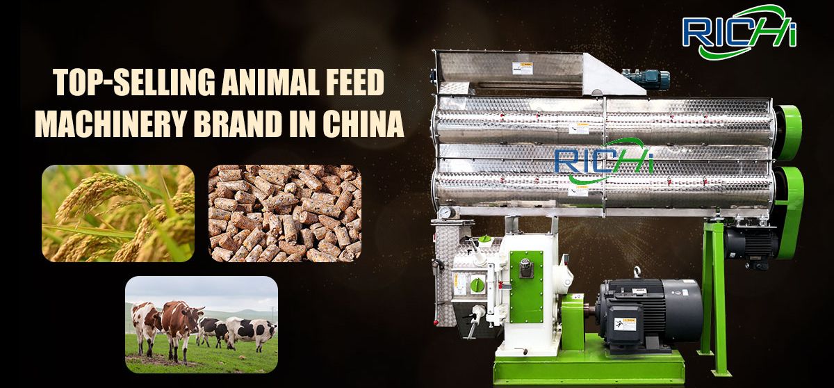 Cattle feed pellet mill for sale South Afric