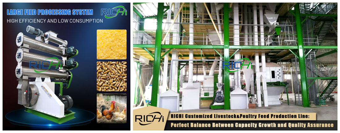 automatic chicken feed pellet plant for sale