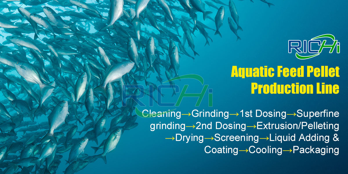 Aquatic feed production process
