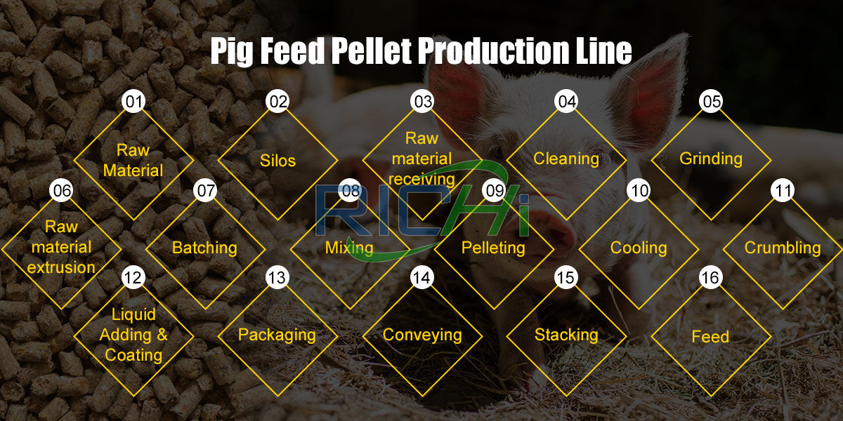Pig feed process flow