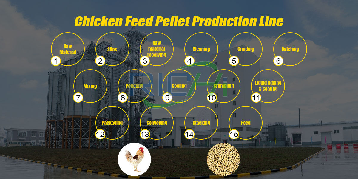 Chicken feed making process